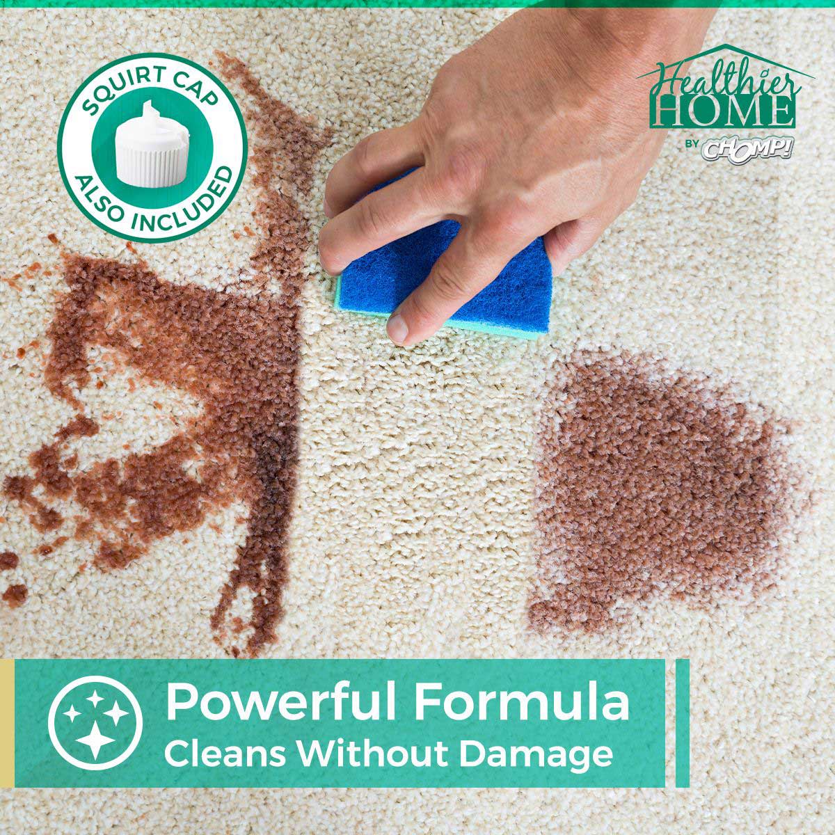 Pet CleanFloors Bundle