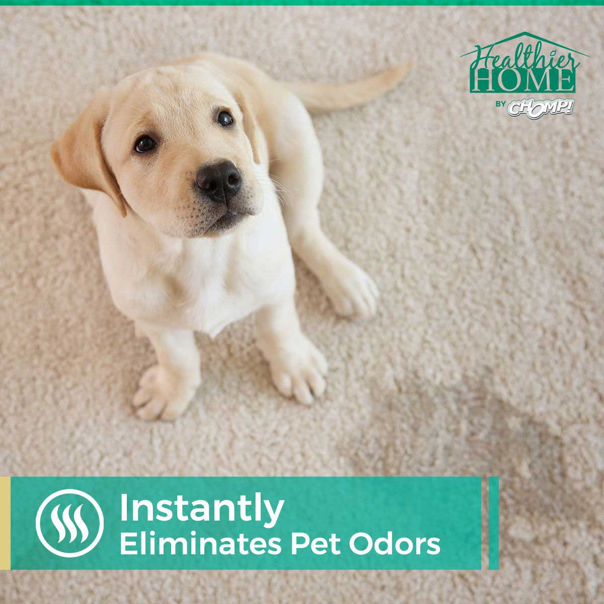 Pet CleanFloors Bundle