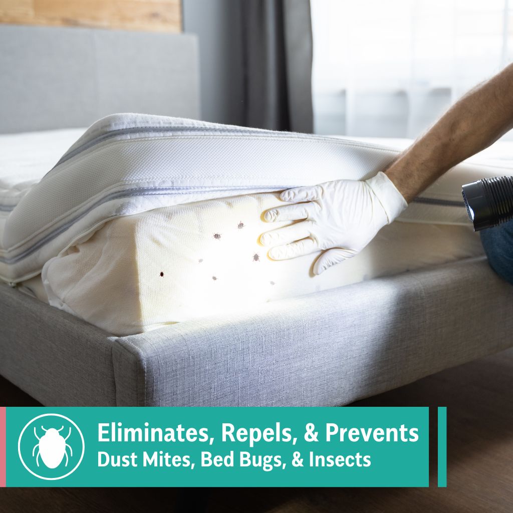 Eco-Friendly Bedding and Indoor Pest Spray Travel Size