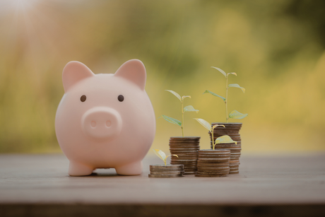 Best Cleaning Product Bundles to Save Money in 2026