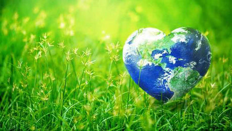 Earth Day - Keeping Your Family and the World Safe from Toxins