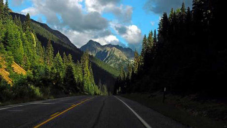 Fall Road Trip! The Safer Way to Clean Your Car