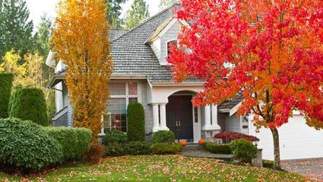 How to Reset Your Home for Fall