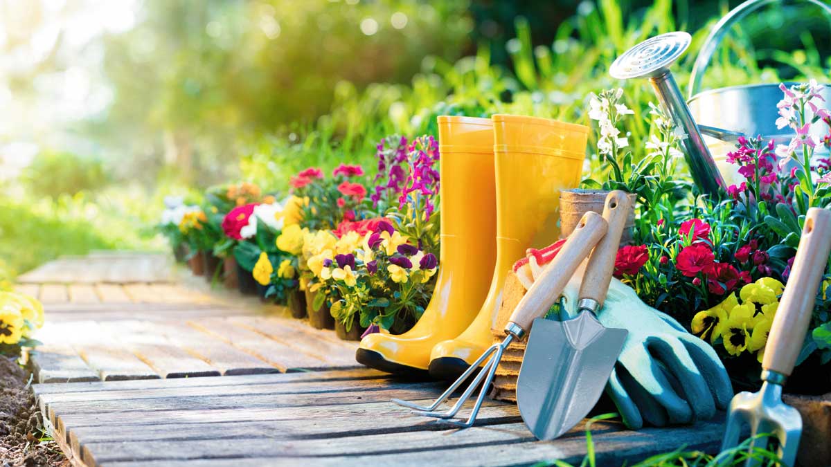 Summertime Dirt - 5 Ways to Keep It Outside