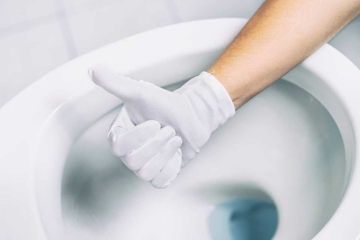 The Down and Dirty Lowdown on Cleaning Your Toilet Bowl