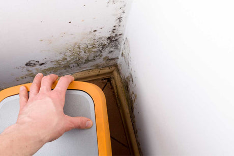 Achieve Spotless Walls in Minutes with the 5 Minute CleanWalls Bundle