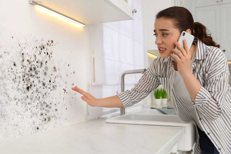 How to Safely and Effectively Remove Stains and Mold: Your Complete Homeowner's Handbook